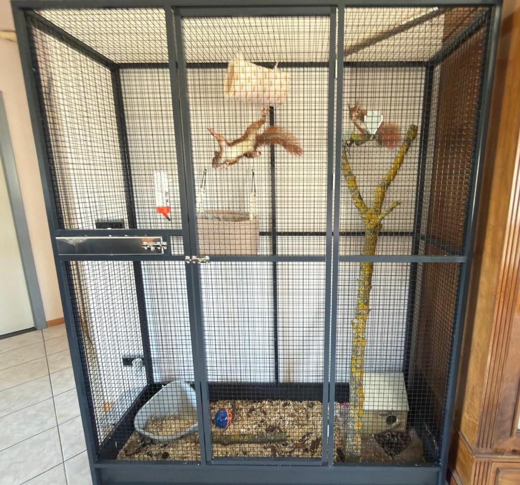 knaagdieren kooien, 110 cm of meer, Nieuw, Ophalen of Verzenden, 90 cm of meer