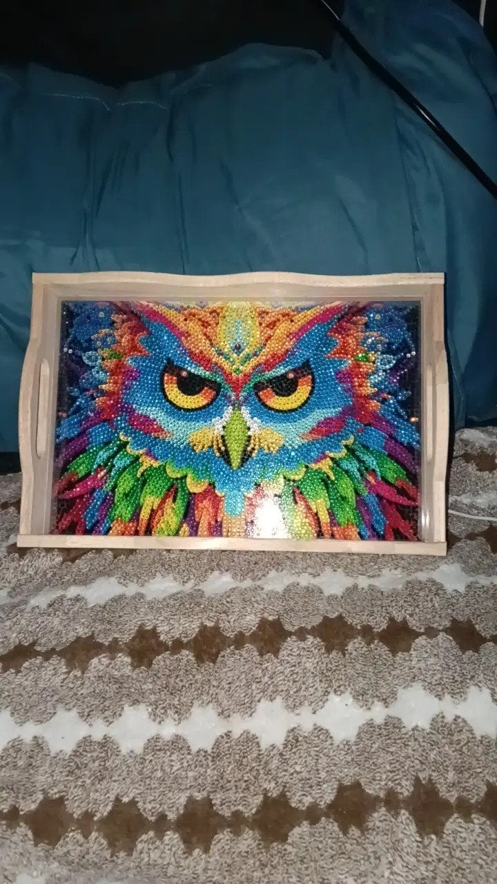 Kleurrijke Uil Diamond Painting in Houten Dienblad, Ophalen of Verzenden