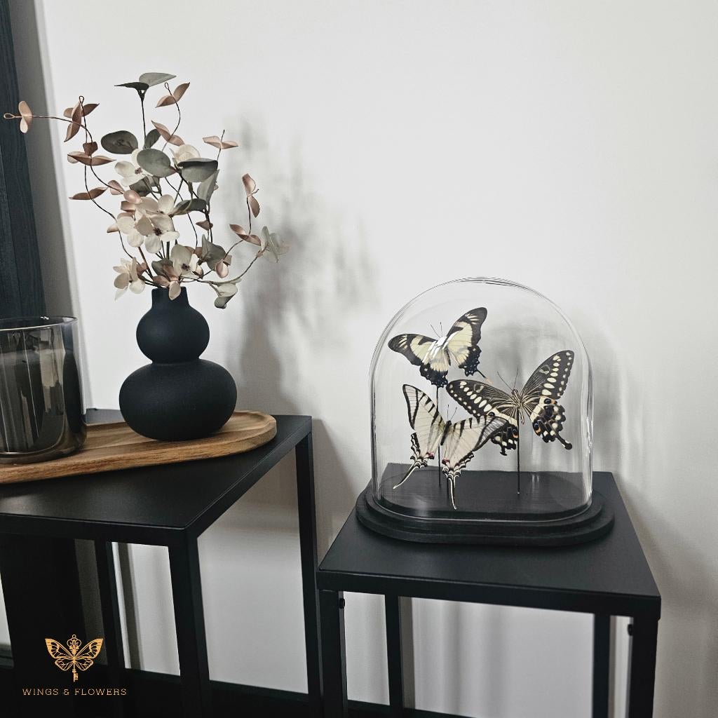 (Ovale) vlinderstolp, Huis en Inrichting, Woonaccessoires | Stolpen, Wings & Flowers, Touwbaan 11, Lekkerkerk, Nieuw, Ophalen of Verzenden