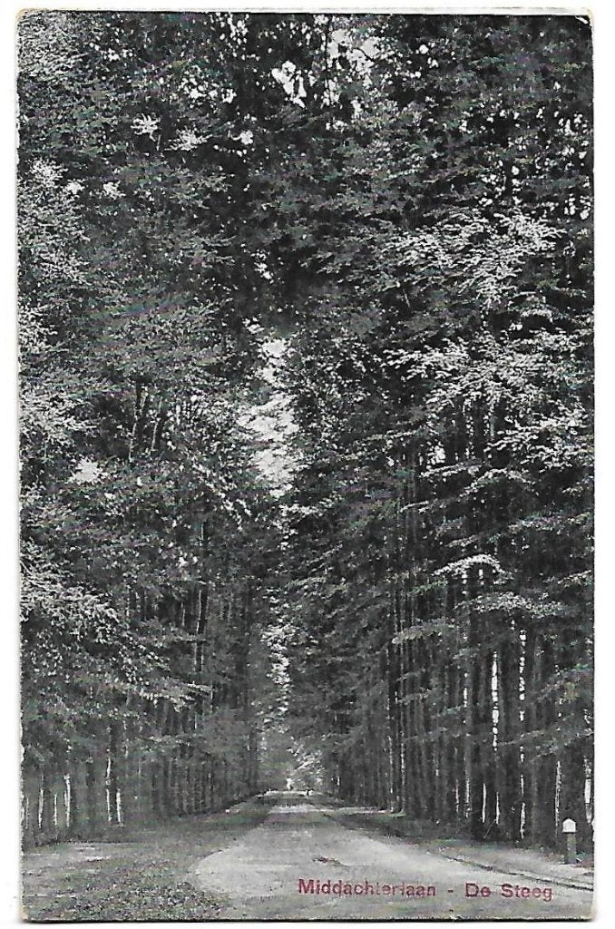 De Steeg Middachterlaan Oude Ongelopen Ansichtkaart (B610, Ophalen of Verzenden, 1940 tot 1960, Ongelopen, Gelderland