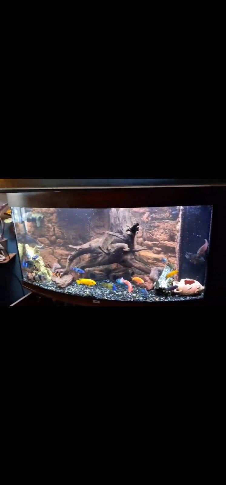 Aquarium zeer compleet ideaal voor beginners met vissen, Ophalen