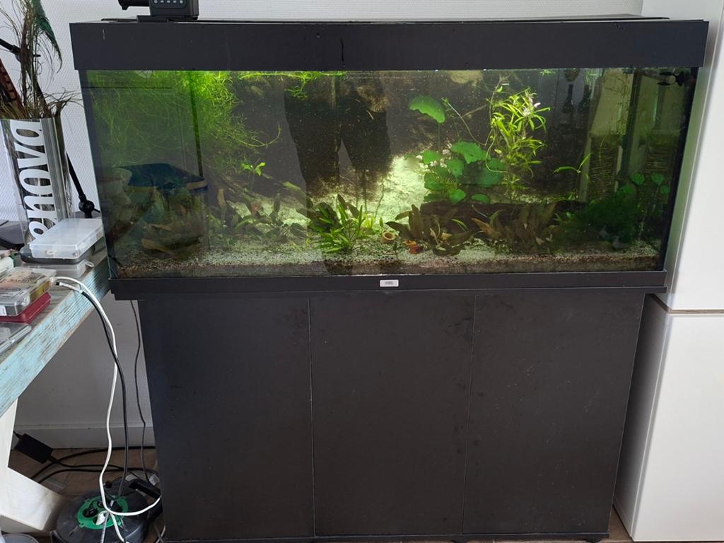 Aquarium Juwel 120x40x55 cm incl. onderkast, Dieren en Toebehoren, Vissen | Aquaria en Toebehoren, Ophalen, Gebruikt, Gevuld zoetwateraquarium