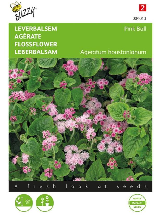 Buzzy - bloemzaden - Ageratum, Leverbalsem Pink Ball, Verzenden, Volle zon, Zaad