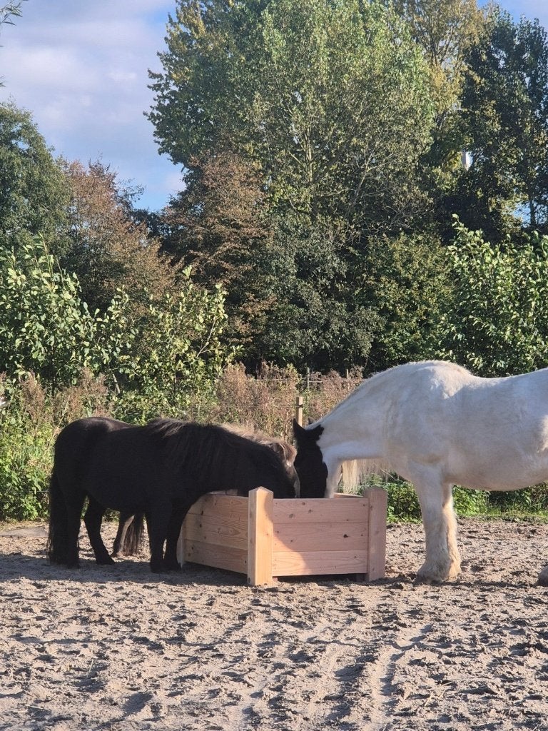 Robuuste slowfeeder bak, Weidegang