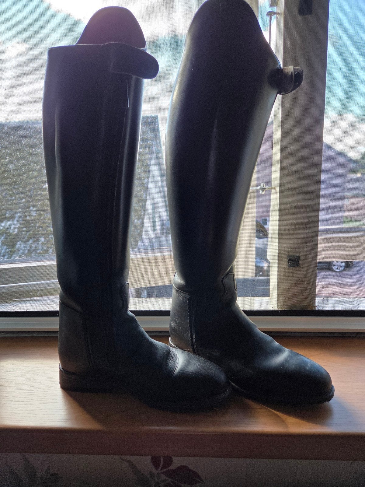 Zwarte Petrie Anky rijlaarzen maat 37, Ophalen of Verzenden, Dressuur, Schoeisel