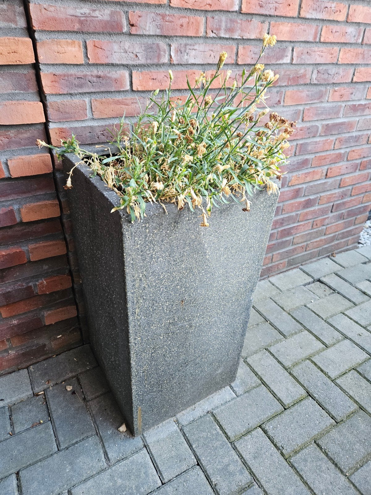 Grote betonnen bloembak - Gebruikt, Tuin en Terras, Gebruikt, Minder dan 60 cm, Vierkant, Ophalen of Verzenden