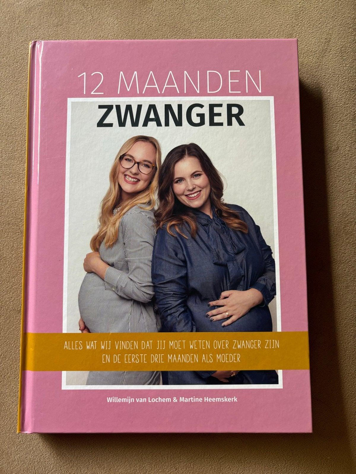 12 Maanden Zwanger - Willemĳn van Lochem & Martine Heemskerk, Boeken, Zwangerschap en Opvoeding, Ophalen of Verzenden, Zo goed als nieuw