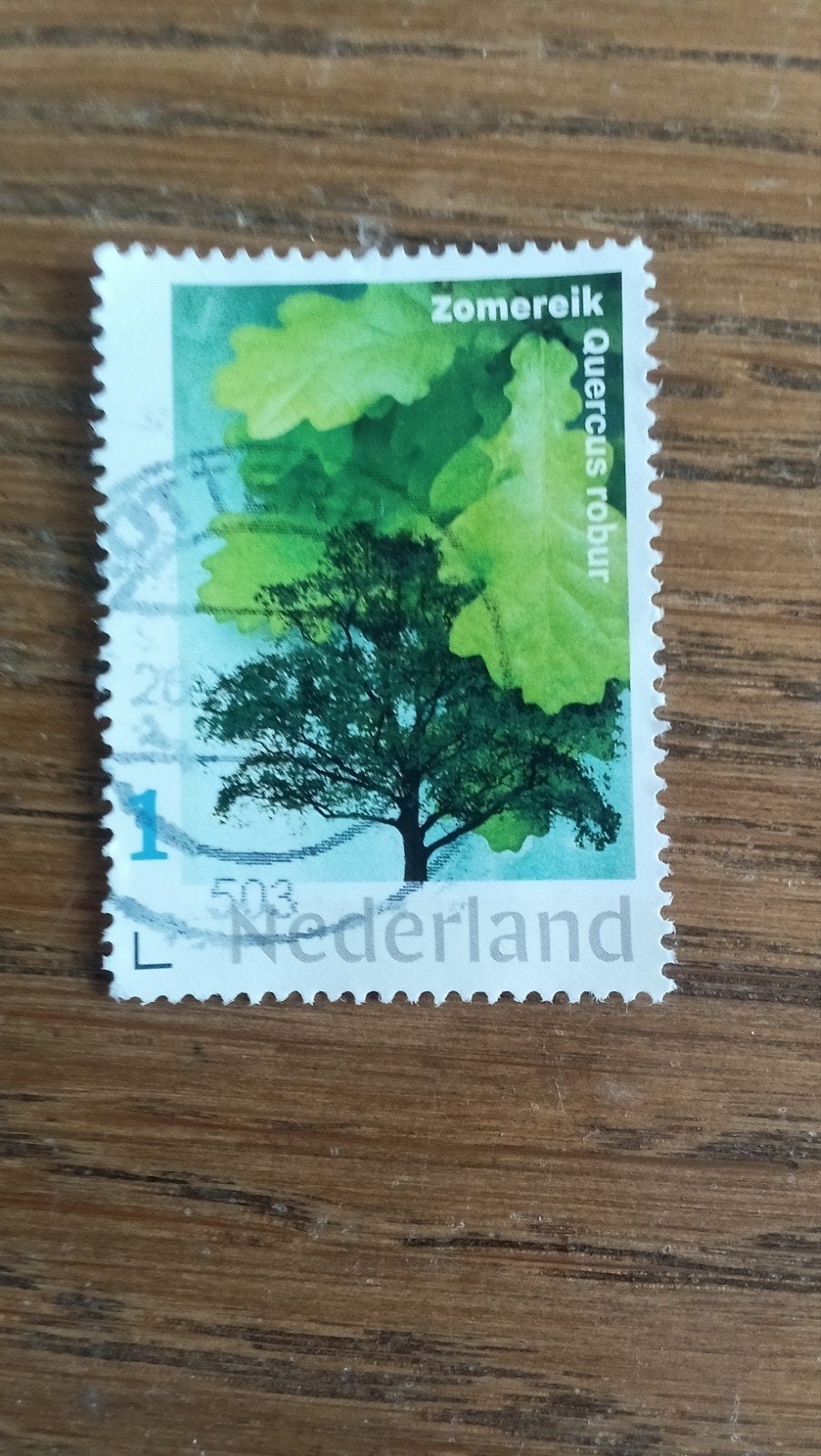 Persoonlijke postzegel Nederland - Zomereik (Quercus robur), Ophalen of Verzenden, Na 1940, Gestempeld