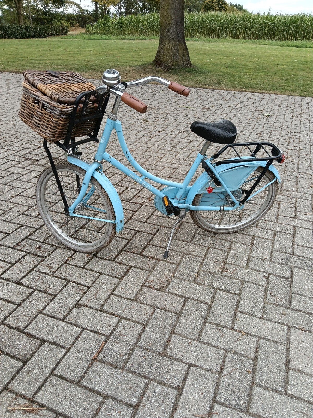 Leuke blauwe meisjesfiets 20 inch met mandje, Fietsen en Brommers, Ophalen, Terugtraprem, Gebruikt, On The Road