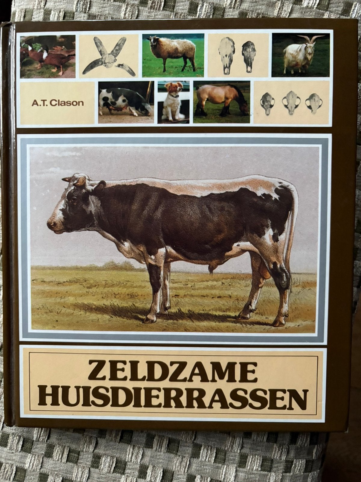 Zeldzame huisdierrassen / stichting zeldzame huisdierrassen, Ophalen of Verzenden, Zo goed als nieuw, Honden