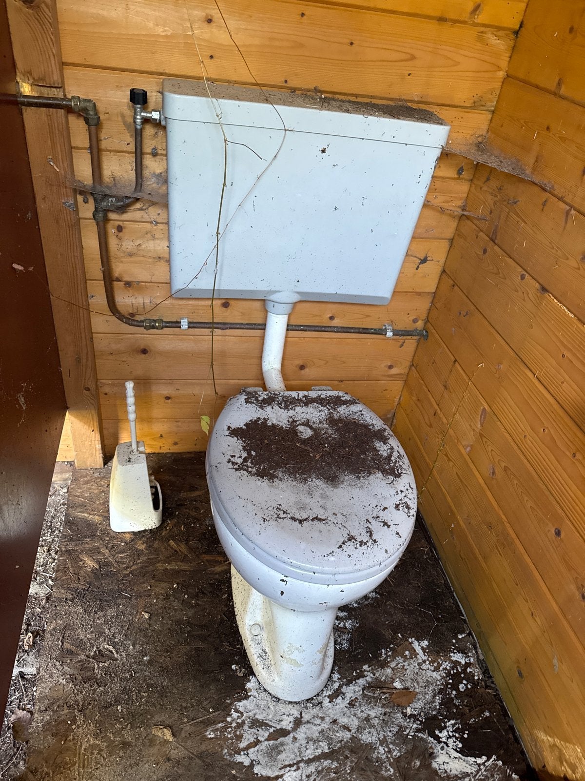 Gebruikt toilet met stortbak, Ophalen of Verzenden, Gebruikt, Toilet