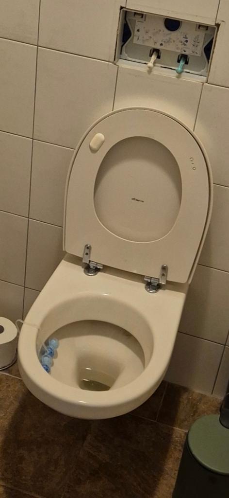 Wc pot hangend gratis, Ophalen of Verzenden, Toilet