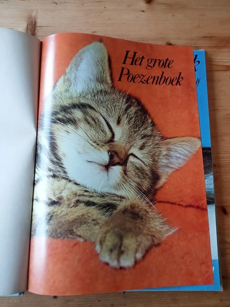Het Grote Poezenboek - Christine Metcalf, Ophalen of Verzenden, Gelezen, Katten, Christine Metcalf