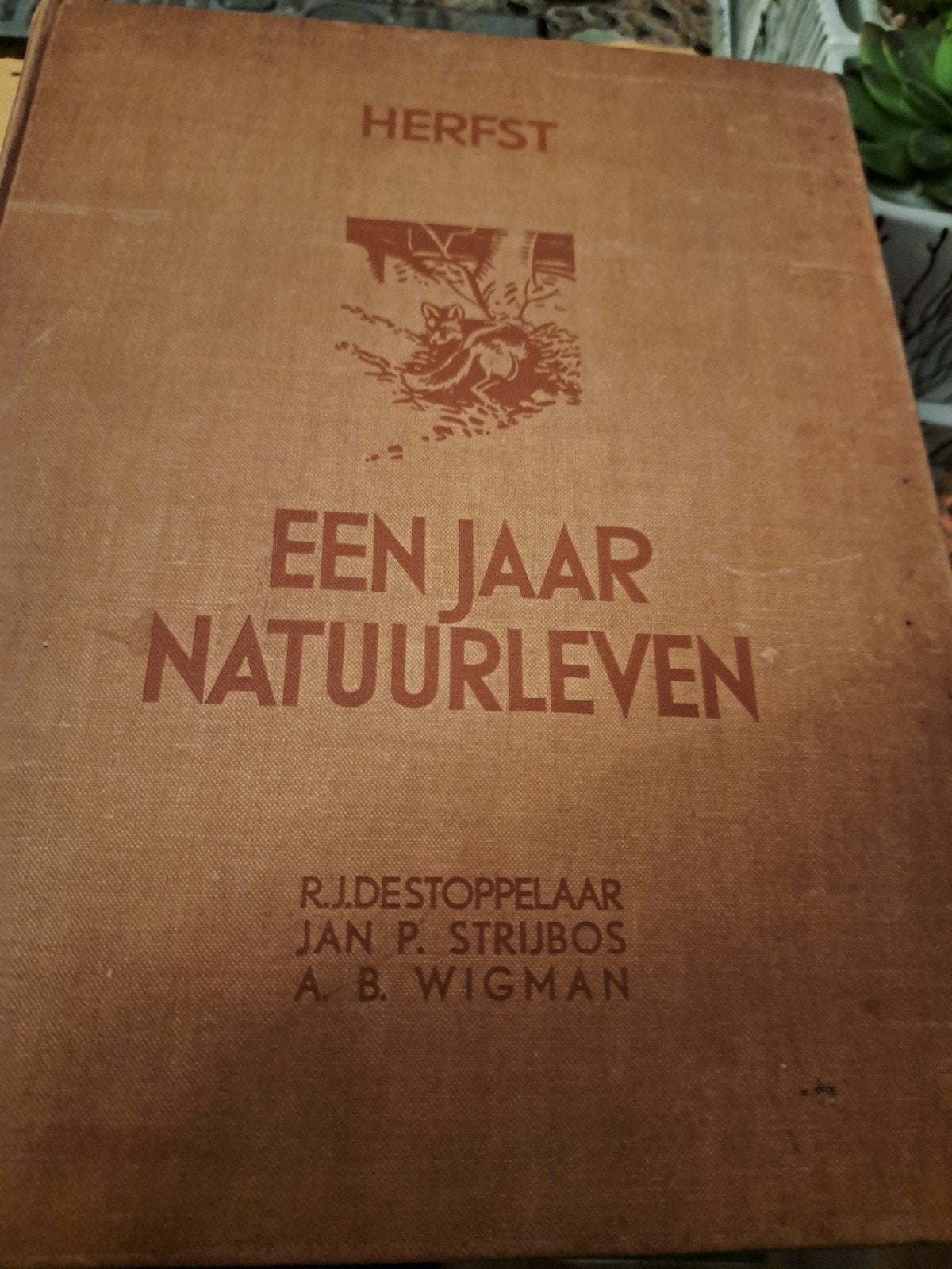 Herfst: Een Jaar Natuurleven - R.J. de Stoppelaar e.a., Ophalen of Verzenden, Gelezen, Natuur algemeen, R.J. de Stoppelaar, Jan P. Strijbos, A.B. Wigman