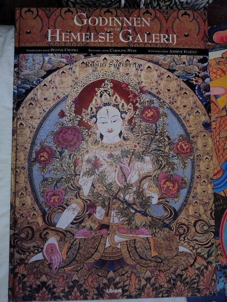 Godinnen van de Hemelse Gallerij, Ophalen of Verzenden, Zo goed als nieuw, Romio Shrestha, Schilder- en Tekenkunst