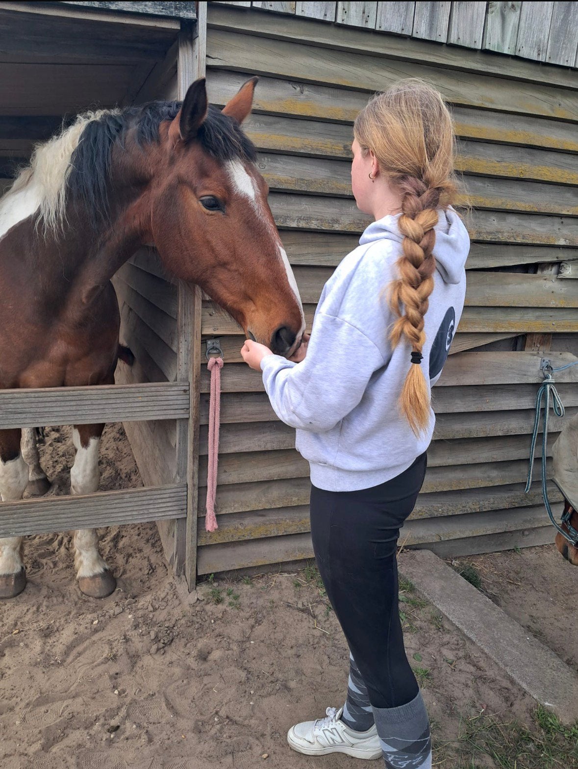 Bijrijd paard gezocht!, Dieren en Toebehoren, Ophalen of Verzenden, Zo goed als nieuw