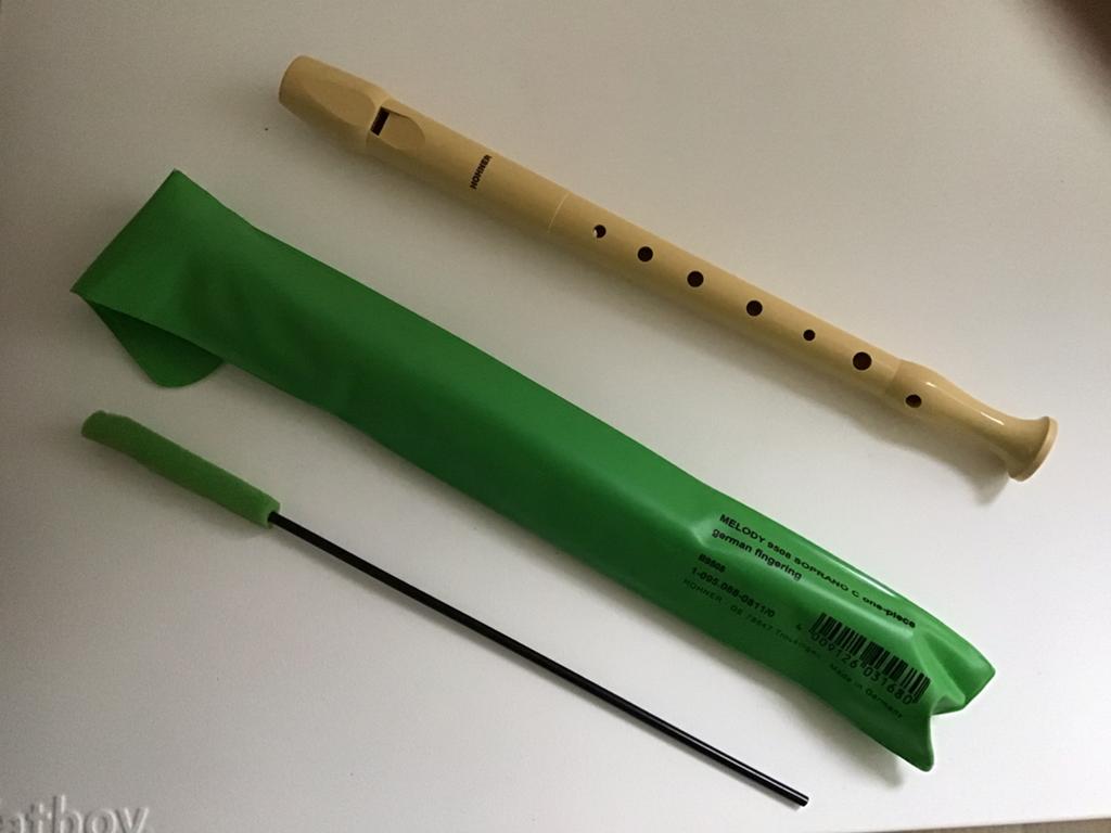 Hohner blokfluit voor kinderen / beginners, Ophalen, Gebruikt, Overige typen, Met koffer, hoes of etui