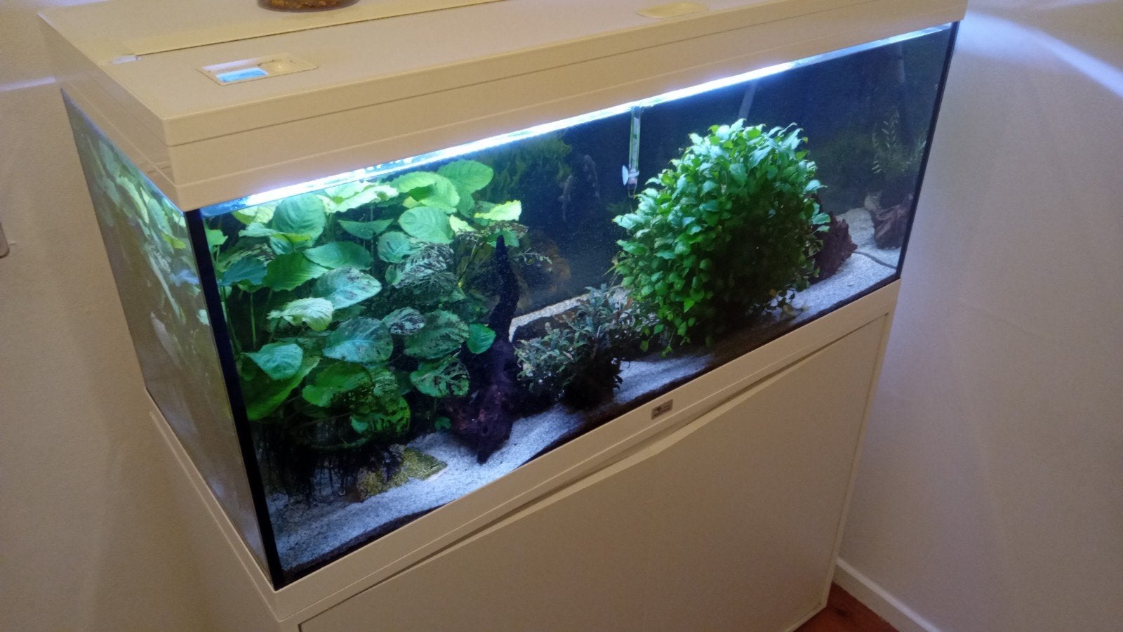 compleet aquarium met alle benodigdheden, Aquatlantis, Ophalen of Verzenden, Inclusief slangen, Gevuld zoetwateraquarium