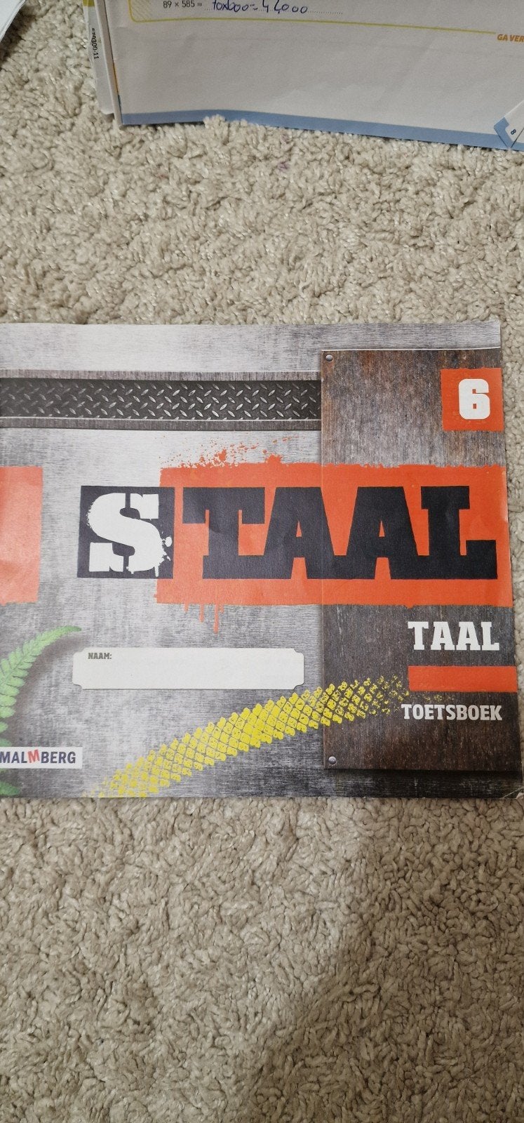 Staal Groep 6 Taal Toetsboek - Malmberg, Ophalen of Verzenden