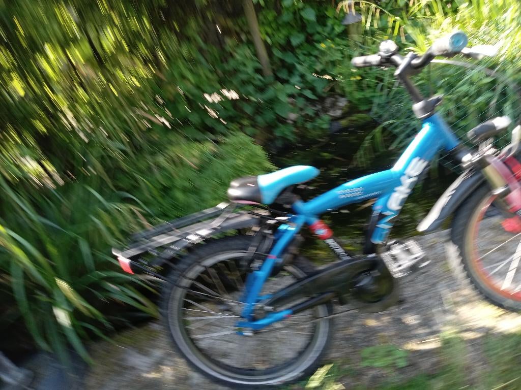 stoere 20 inch batavus snake, Ophalen, Gebruikt, 20 inch of meer