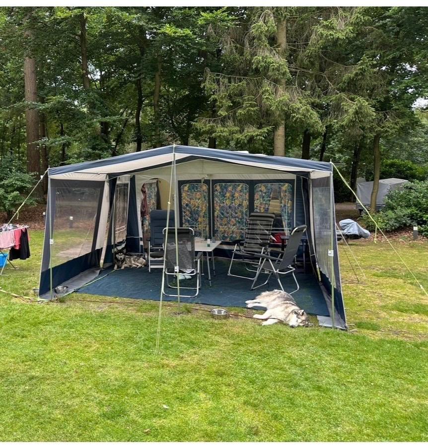 Dorema voortentluifel lacorna plus maat 7, Caravans en Kamperen, Ophalen, Zo goed als nieuw, Ten Cate All Season 200g/m2, Dorema