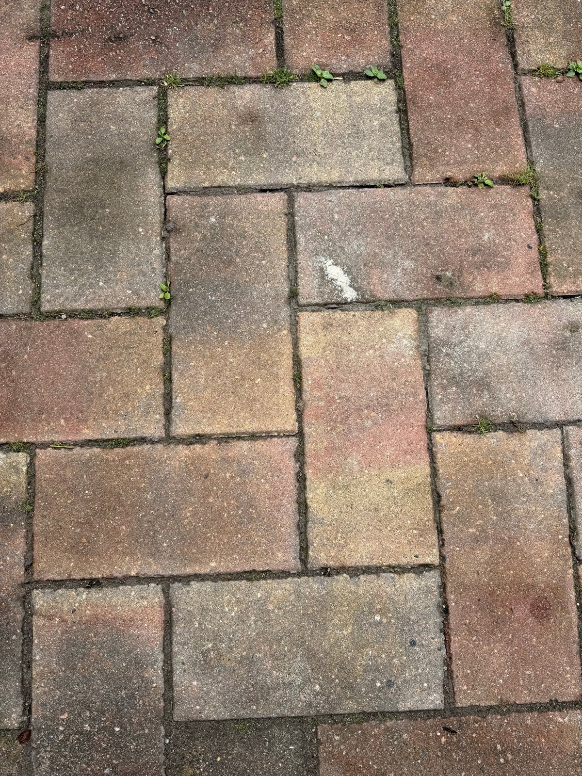 Gebruikte siertegels terras 25m2, Tuin en Terras, Ophalen, Gebruikt, 10 m² of meer, Beton