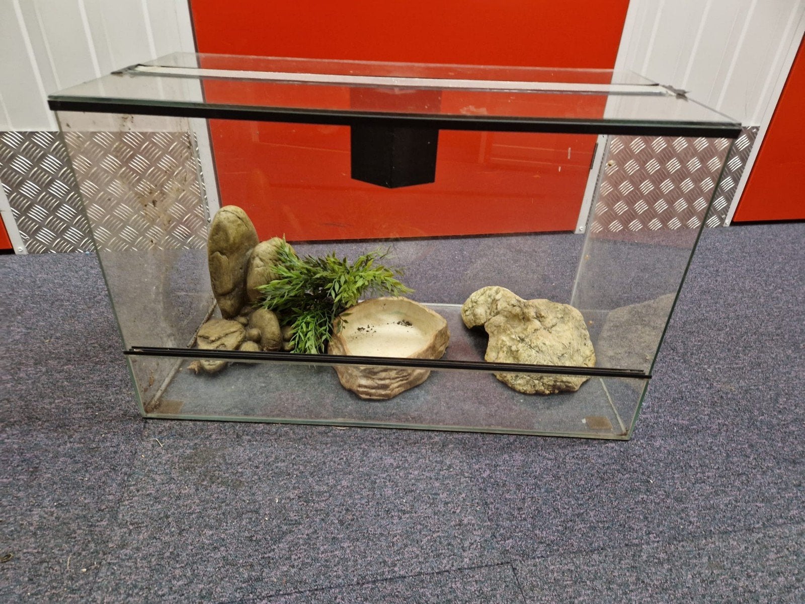 terrarium, Ophalen of Verzenden