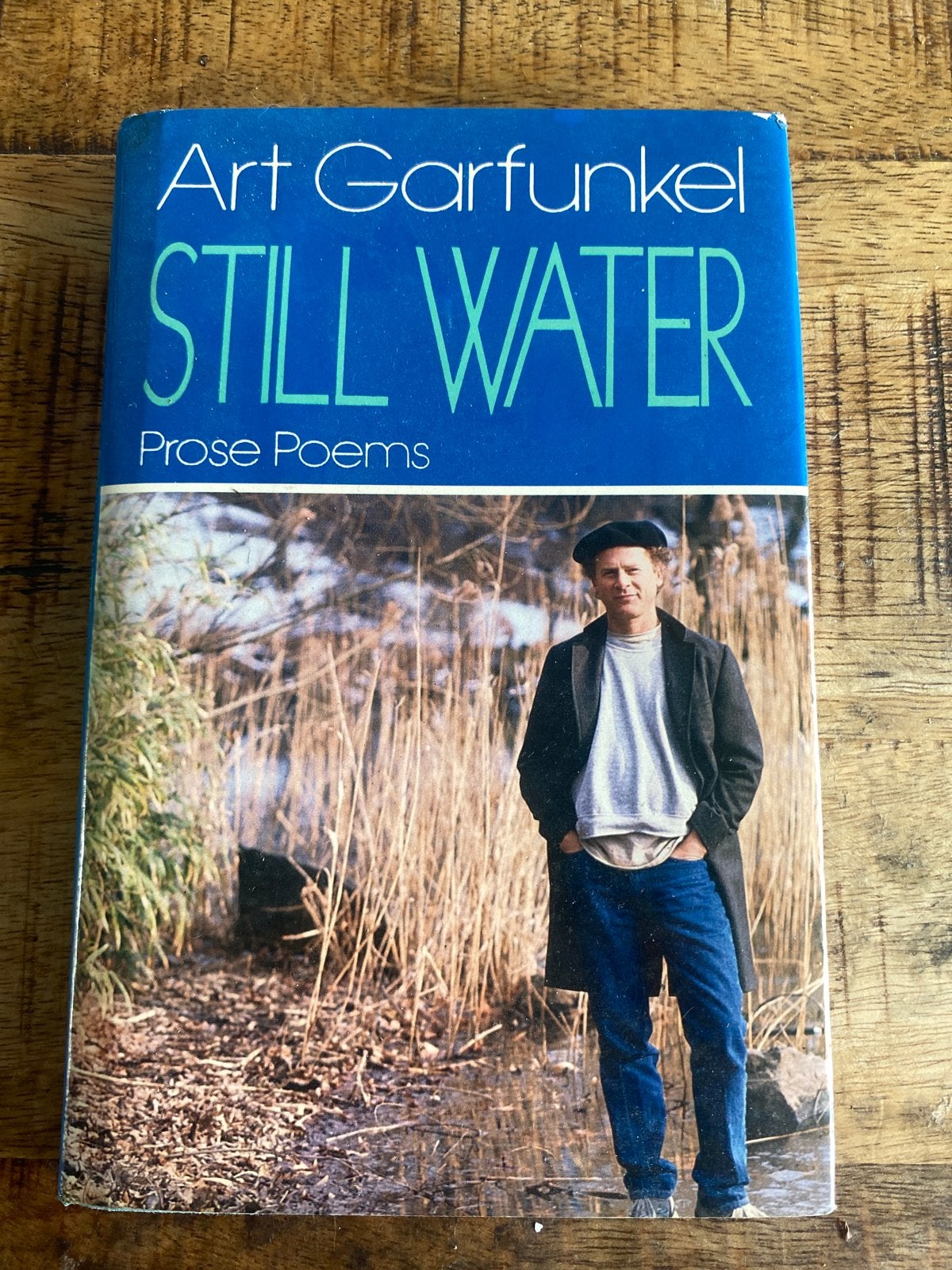 Art Garfunkel - Still Water: Proza Gedichten, Ophalen of Verzenden, Gelezen, Eén auteur