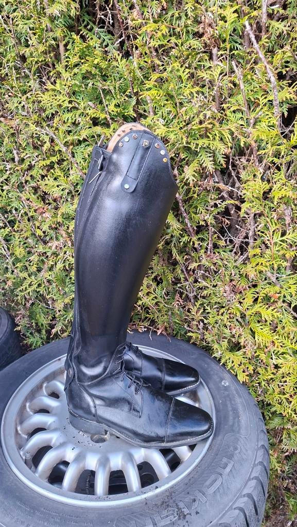 Petrie laarzen, Dieren en Toebehoren, Ophalen of Verzenden, Dressuur, Schoeisel