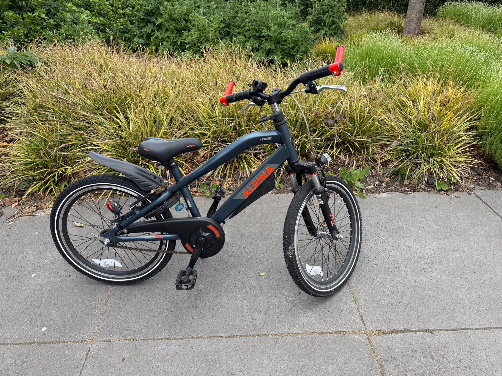 Alpina trial 20 inch kinderfiets, Fietsen en Brommers, Ophalen, Gebruikt, 20 inch of meer