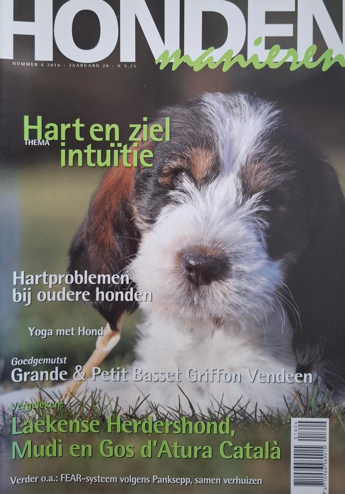 Hondenmanieren 2016 nr 4 - Petit en Grand Basset Griffon, Ophalen of Verzenden, Nieuw
