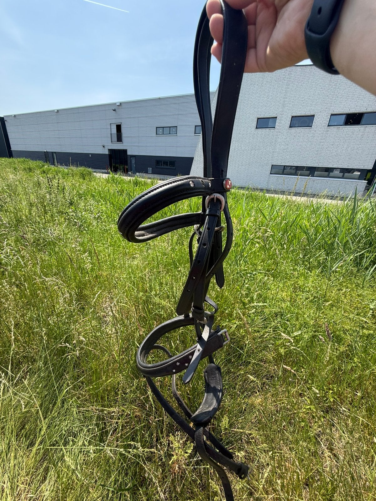 Diverse paardenspullem, Dieren en Toebehoren, Ophalen of Verzenden, Gebruikt
