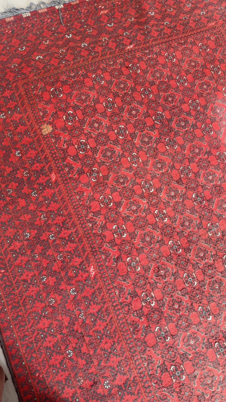 Twee Afghaanse tapijten - 6 meter lang, Gebruikt, 150 tot 200 cm, 200 cm of meer, Ophalen of Verzenden