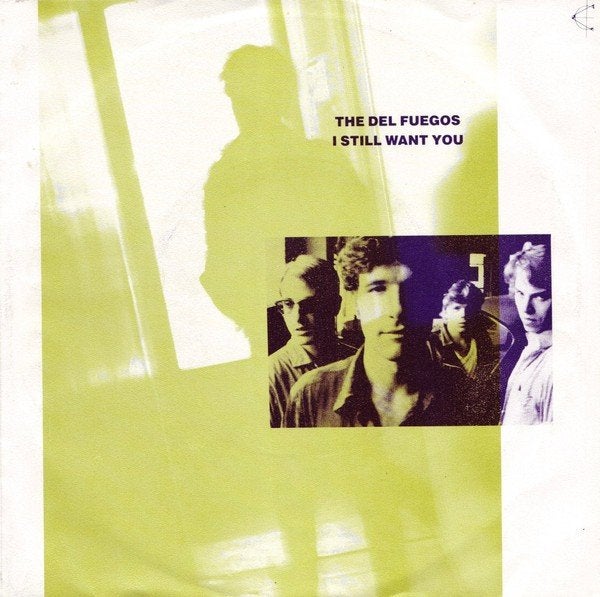 the del fuegos / i still want you - alt/indie/garage/punk, Cd's en Dvd's, Verzenden, Gebruikt, 7 inch, Rock en Metal