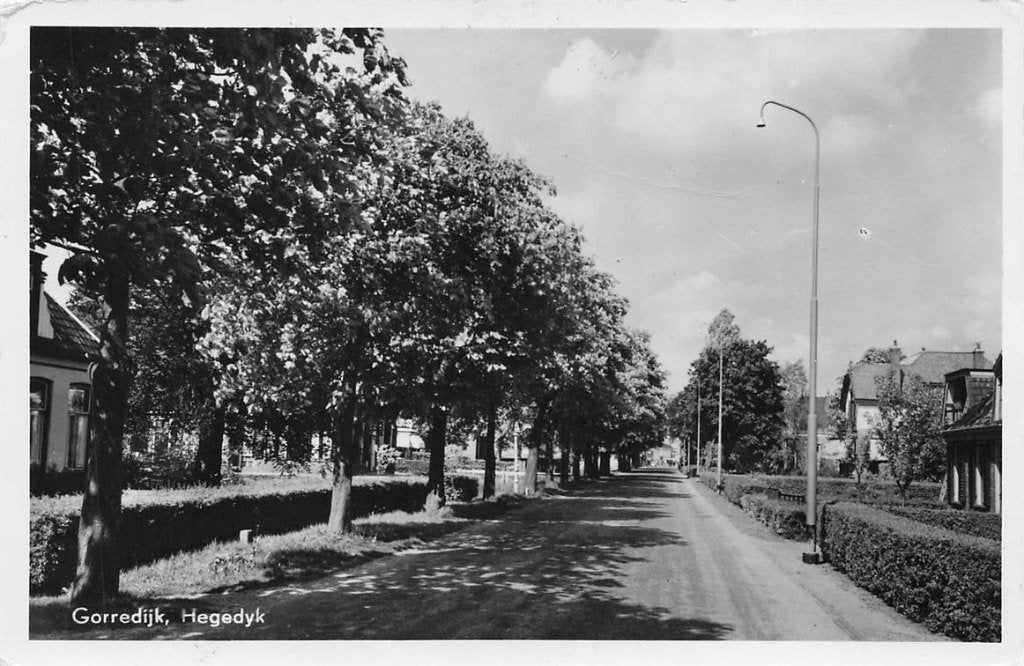 703-034-021 Gorredijk Hegedijk, Ophalen of Verzenden, Voor 1920, Friesland