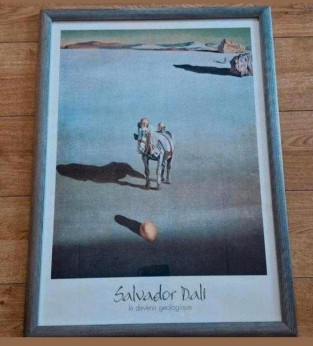 Salvador Dali Le Deventer geologie 1933, Ophalen