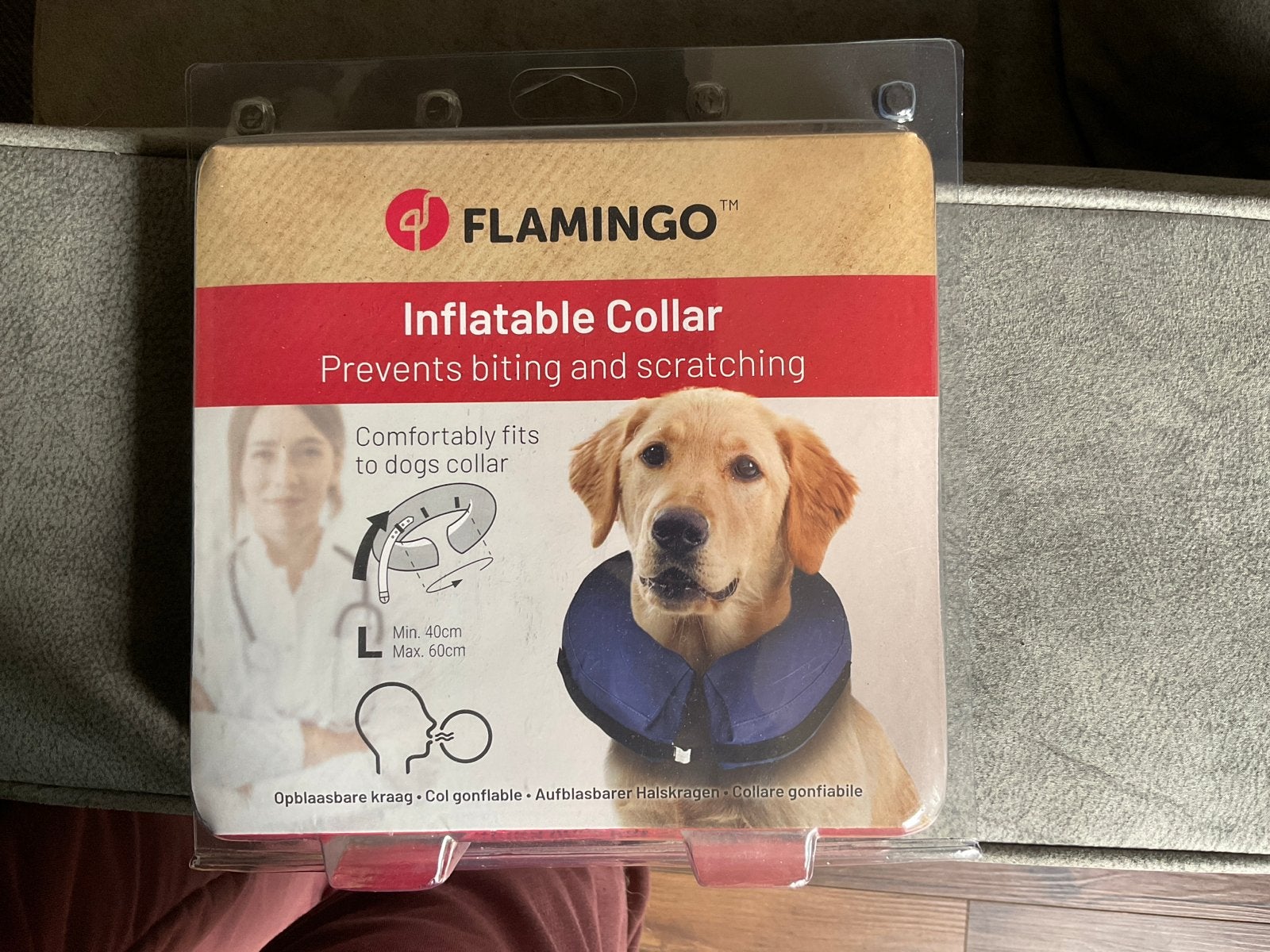 Opblaasbare kraag voor hond nieuw, Ophalen of Verzenden, Nieuw, Overige typen