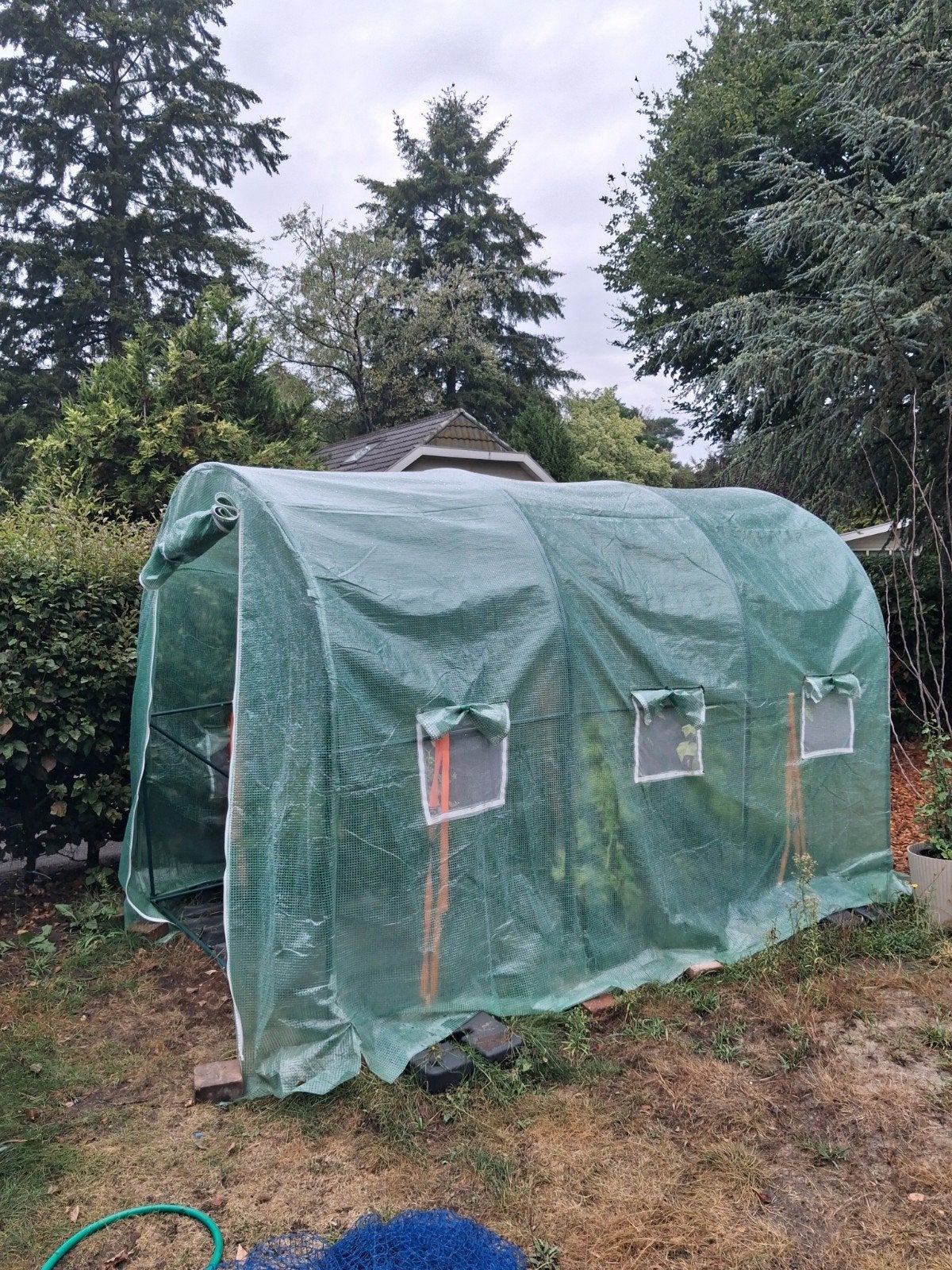 kas 2X3 Meter, Ophalen, Gebruikt, Folie, Kweekkas
