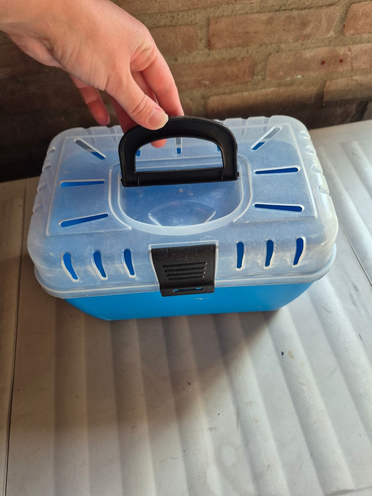 Vervoers box voor hamster / muis / rat, Ophalen