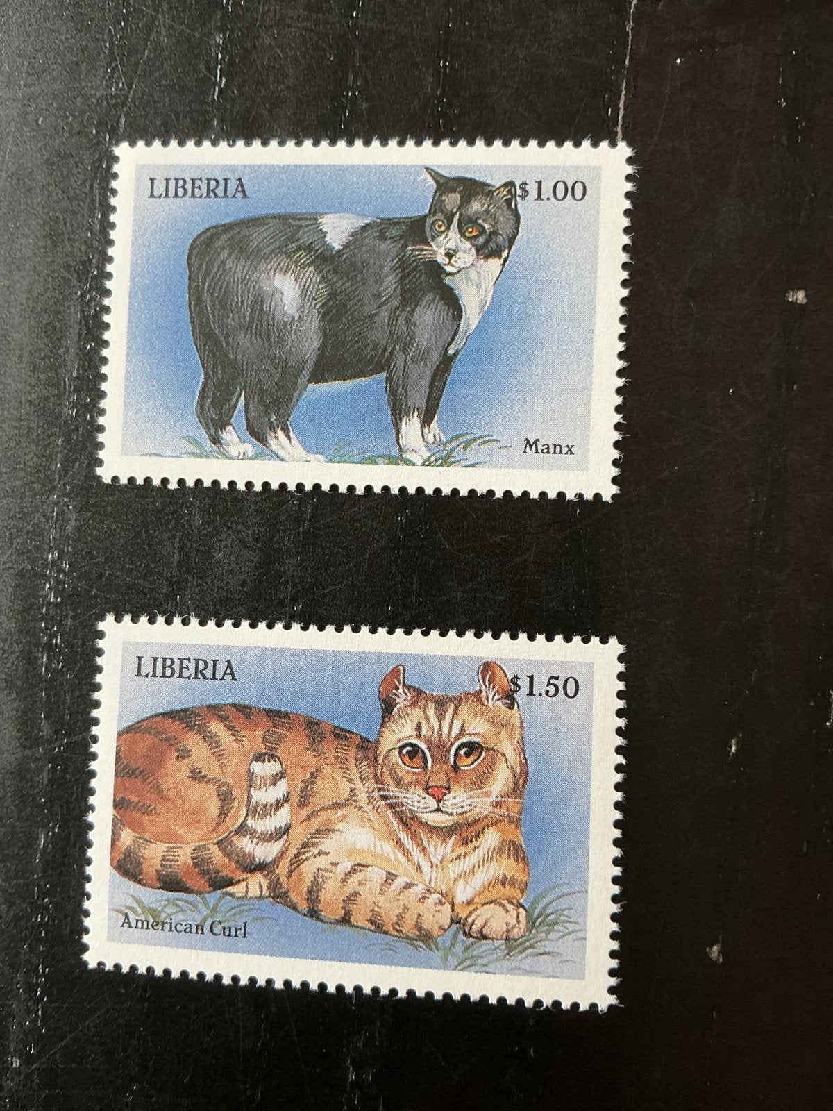 Liberia Postzegels: Manx en American Curl Katten, Ophalen of Verzenden, Postfris, Dier of Natuur
