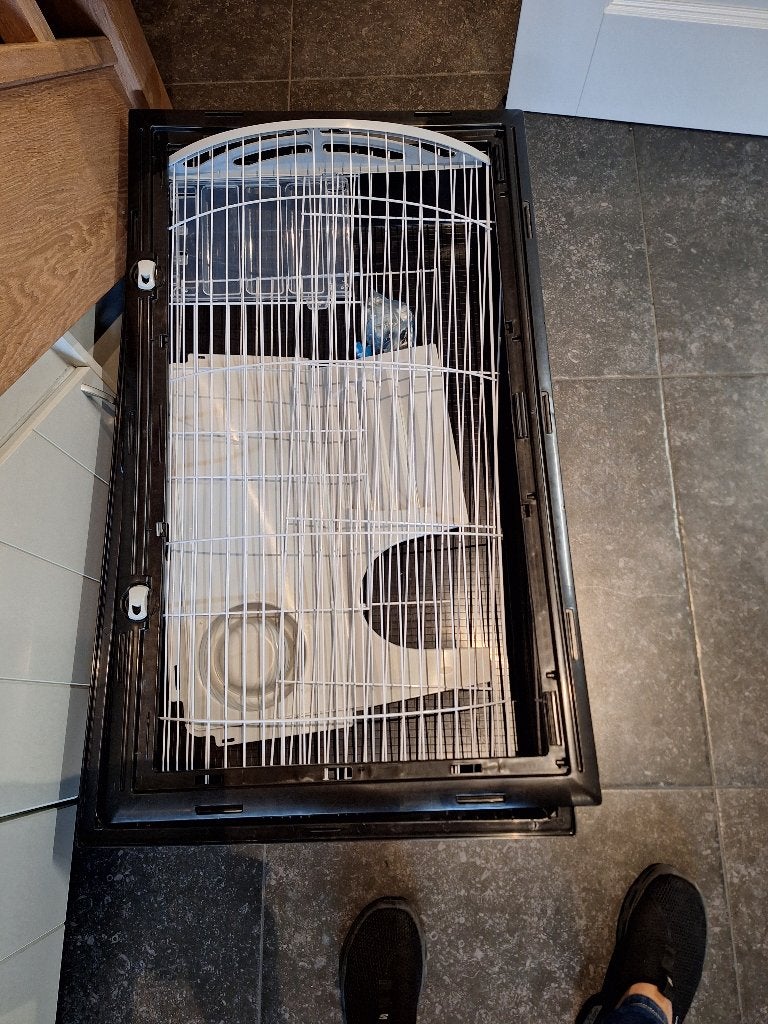Konijnenhok, Dieren en Toebehoren, Ophalen, Kooi, Cavia, Zo goed als nieuw