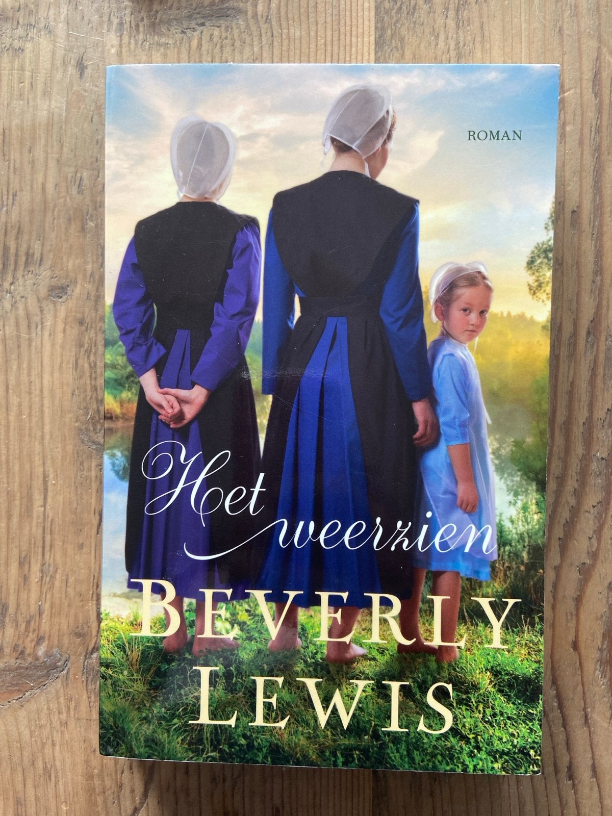 Het weerzien - Beverly Lewis (Roman), Boeken, Romans, Ophalen of Verzenden, Zo goed als nieuw, Nederland