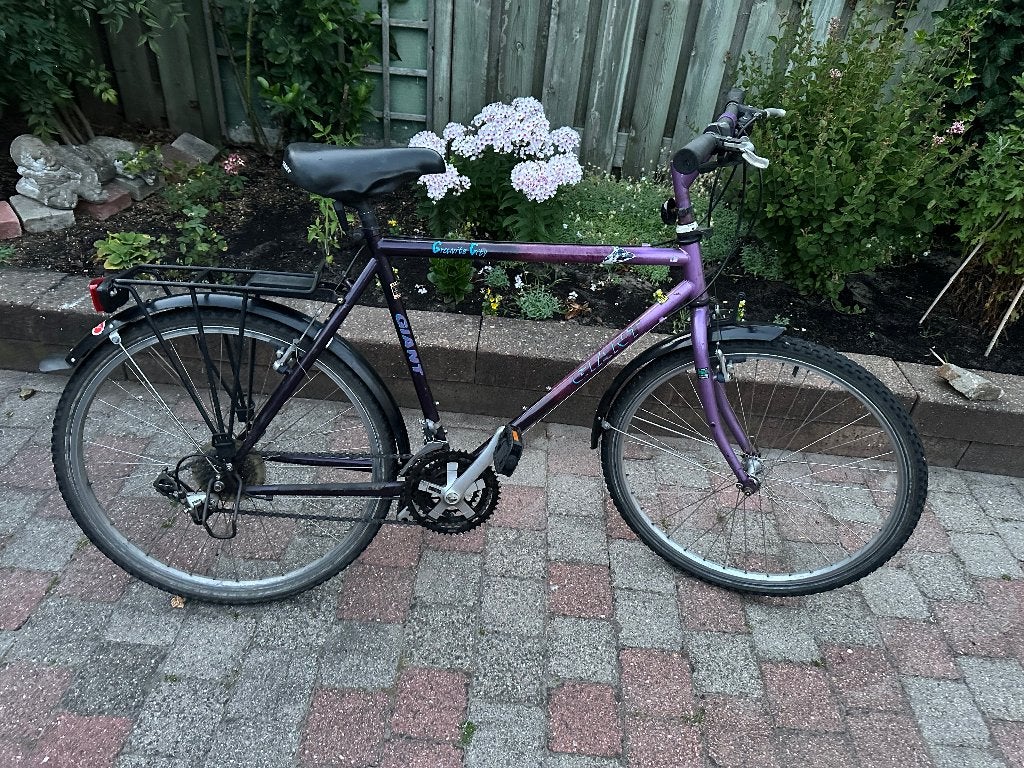 Kinderfiets GIANT, Ophalen, Gebruikt, 20 inch of meer, Giant