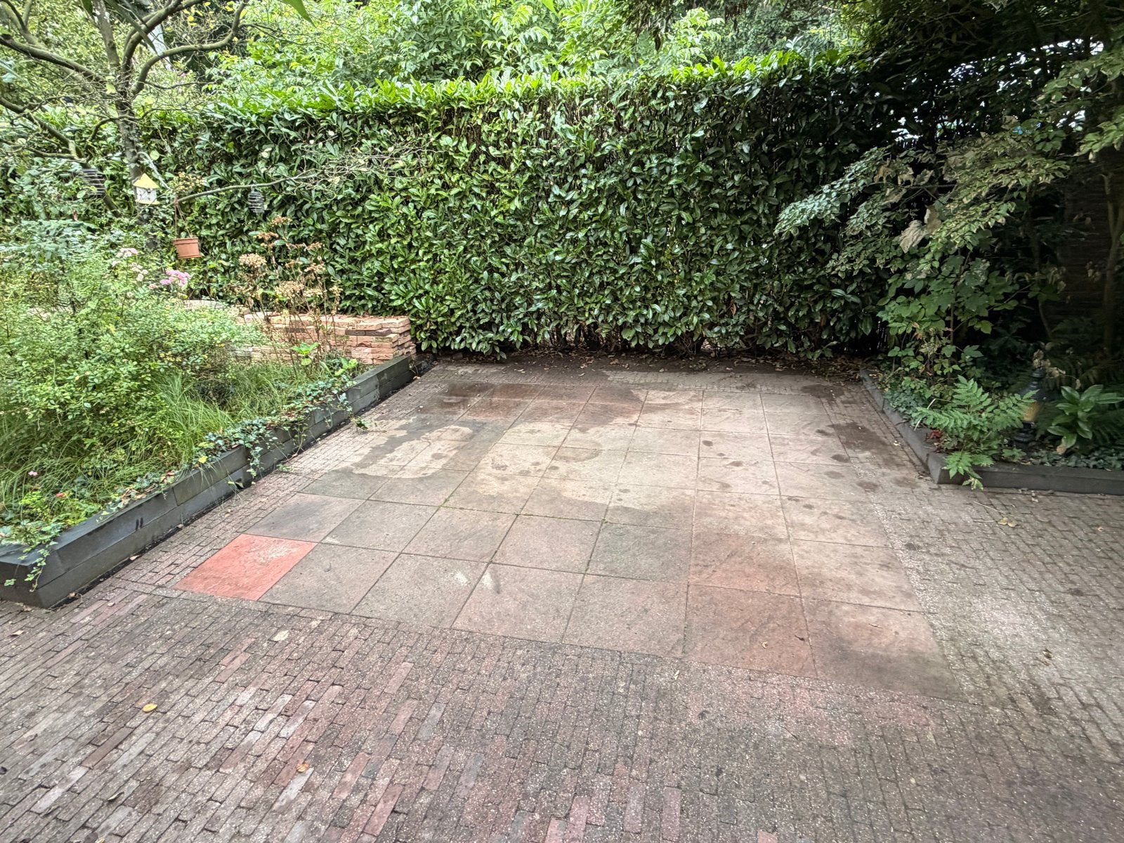 Gratis Terrastegels 44x44cm, totaal 60 tegels opp. ca. 12m2, Ophalen, 40 tot 60 cm, Gebruikt, 60 cm of meer