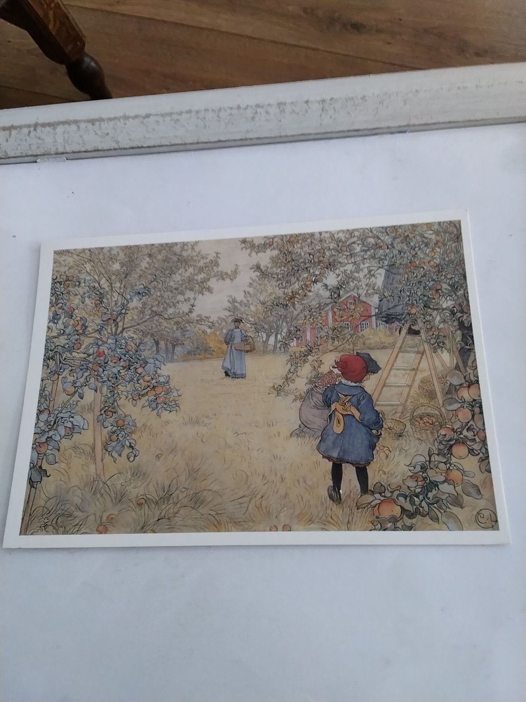 Carl Larsson - Apple Harvest 1904 - Kunstkaart, Ophalen of Verzenden