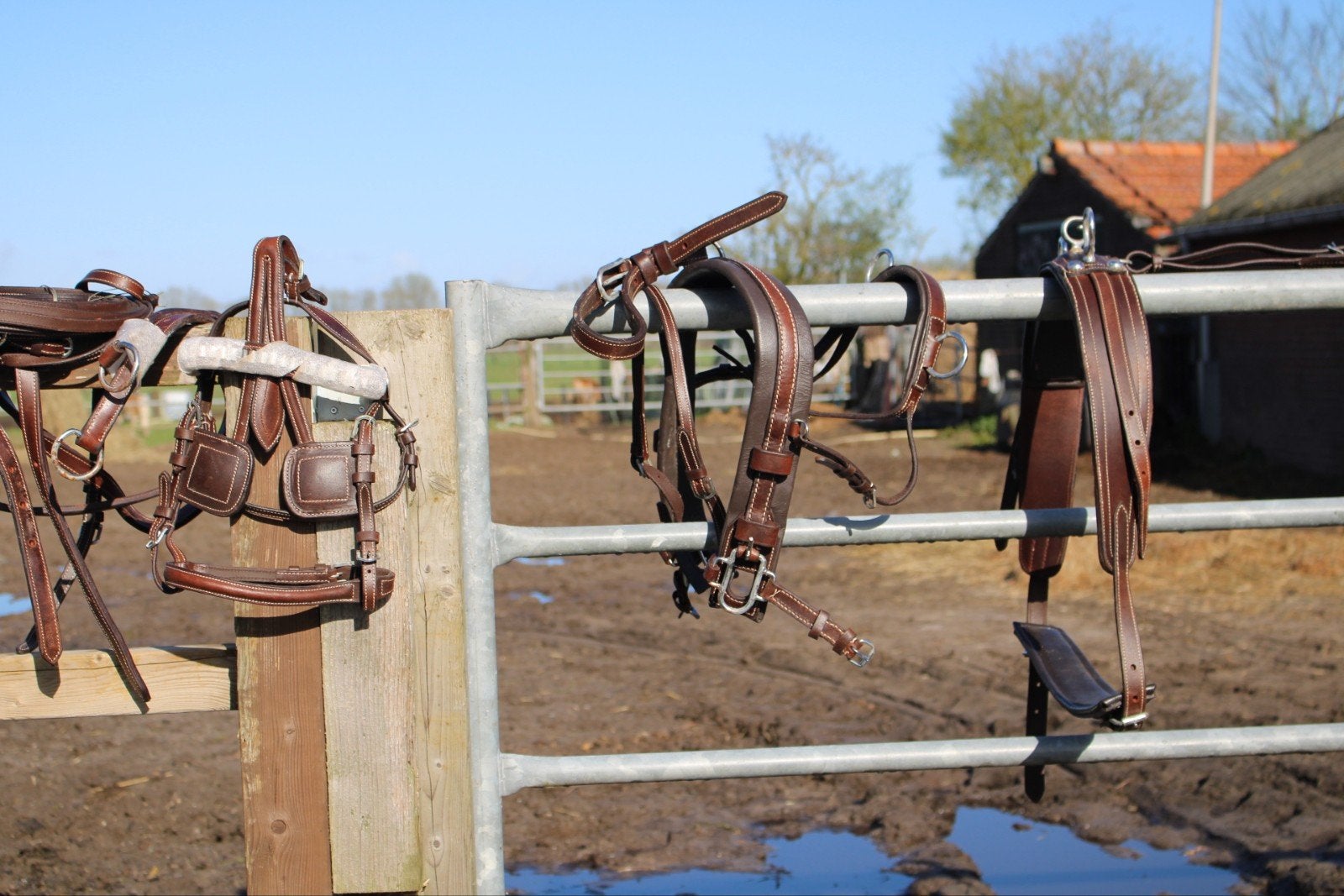 Te koop twee span mentuig mini shetlander mentuig bruin

Bes, Ophalen of Verzenden, ., ., .