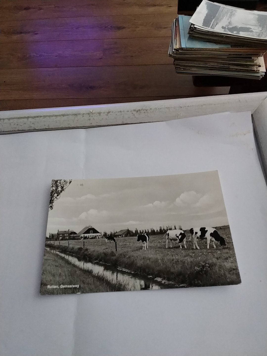 Oude Ansichtkaart Rutten, Gemaalweg met Koeien, Ophalen of Verzenden, 1940 tot 1960, Gelopen, Flevoland
