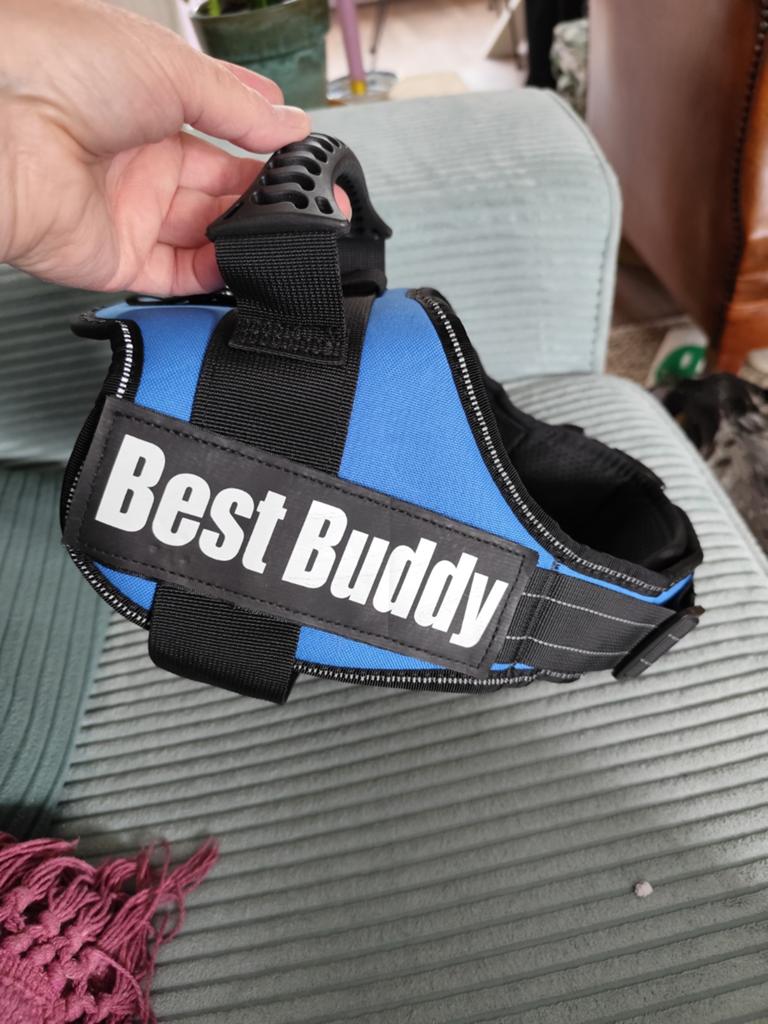 Honden harnas best buddy L, Dieren en Toebehoren, Ophalen of Verzenden, Nieuw