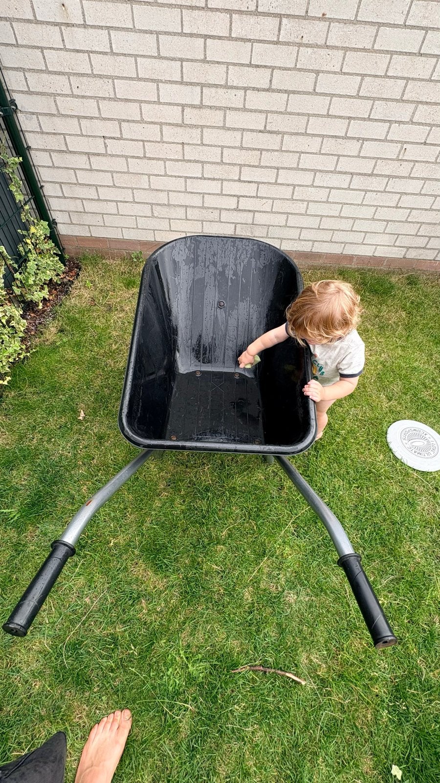 Stevige kruiwagen met kunststof bak, Tuin en Terras, Kruiwagens, Ophalen of Verzenden, Gebruikt, Handmatig, Tweewielig