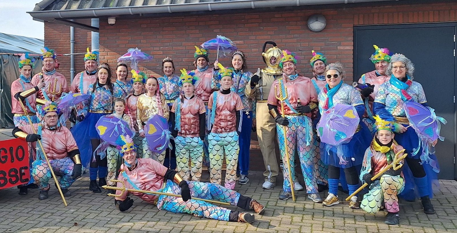 Zeemeerminnen en Zeemeermannen loopgroep Carnaval, Ophalen, Zo goed als nieuw, Jongen of Meisje